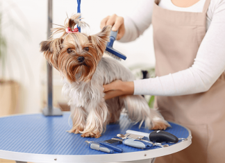 Role of Pet Grooming