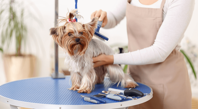 Role of Pet Grooming